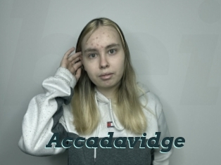 Accadavidge