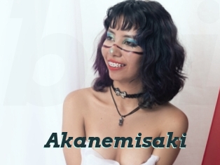 Akanemisaki