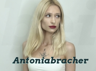 Antoniabracher