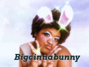 Bigcinnabunny