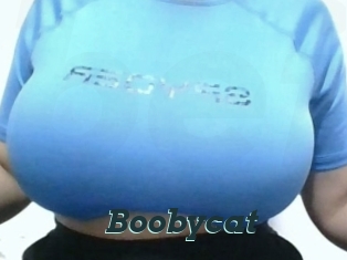 Boobycat