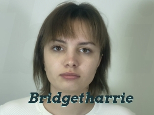 Bridgetharrie