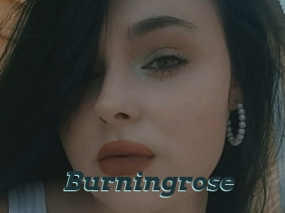 Burningrose