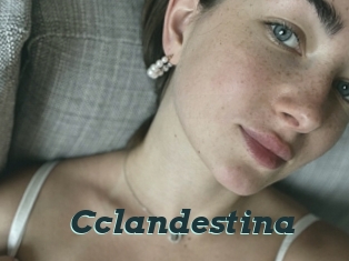 Cclandestina