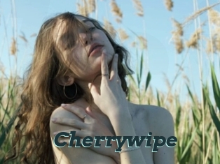 Cherrywipe