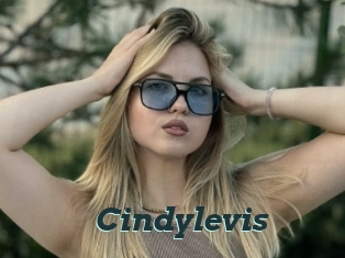 Cindylevis