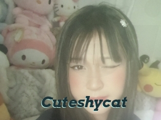 Cuteshycat