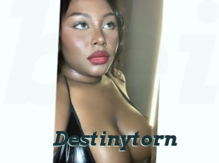 Destinytorn