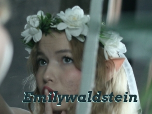 Emilywaldstein