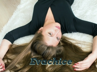 Evachice