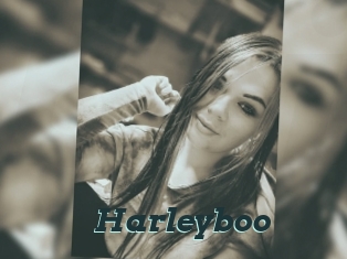 Harleyboo