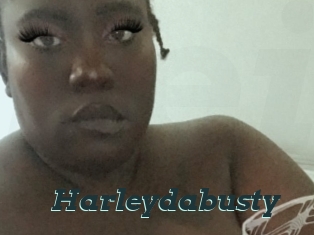 Harleydabusty