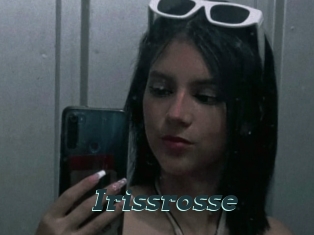 Irissrosse