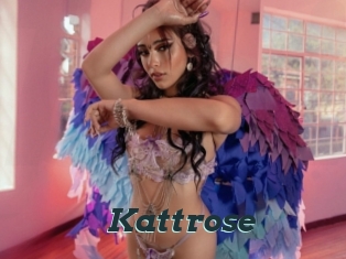 Kattrose