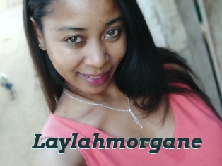 Laylahmorgane