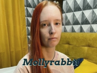 Mollyrabbit