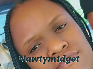 Nawtymidget