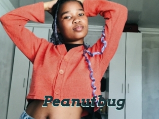 Peanutbug