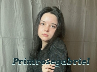 Primrosegabriel