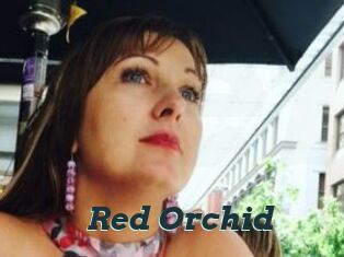 Red_Orchid