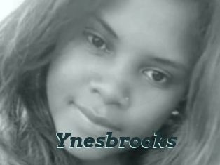 Ynesbrooks