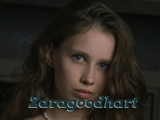 Zaragoodhart